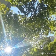 每日一善 阳光信用在生活的路上，善待自己！努力活成自己喜欢的样子，不用在意别人的