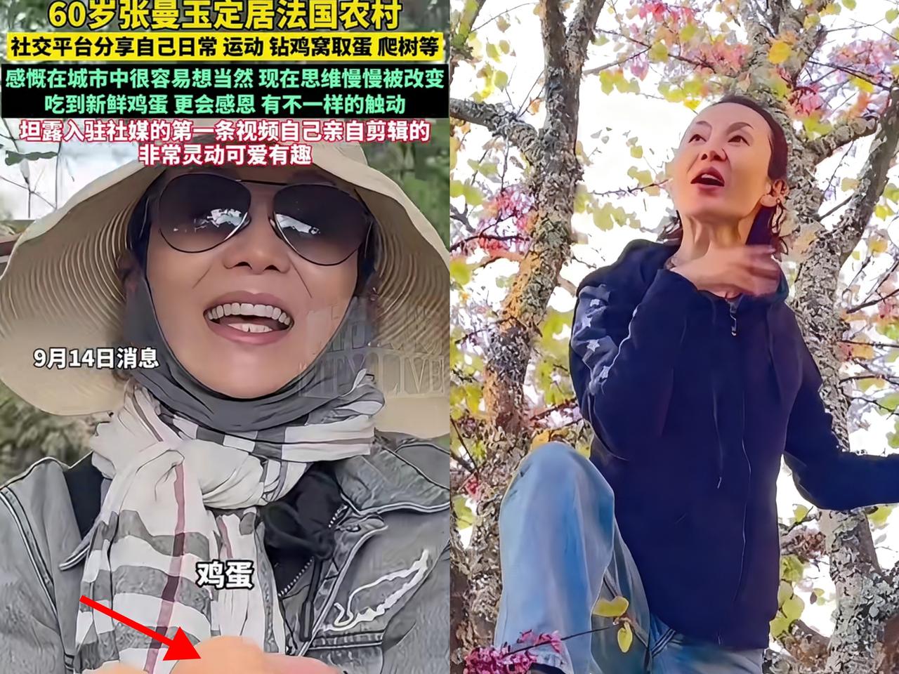 奉劝大家一句，
不要再被张曼玉的样子骗了，
她的养鸡生活
跟大家想的完全不一样