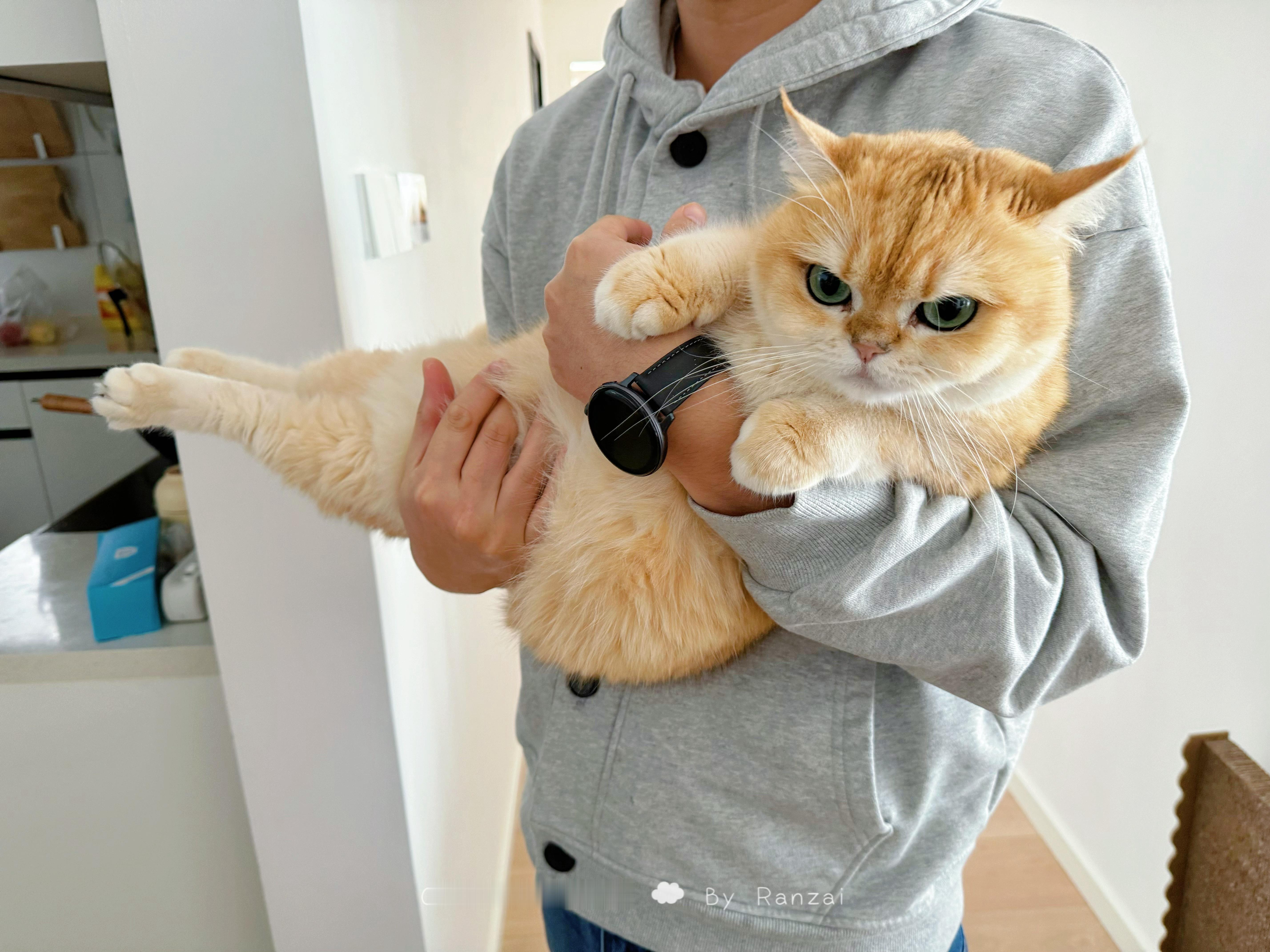 抓住一头小猪当做38节送给各位ee[彩虹屁]#菇冬怎么肥四[超话]##春日萌宠随