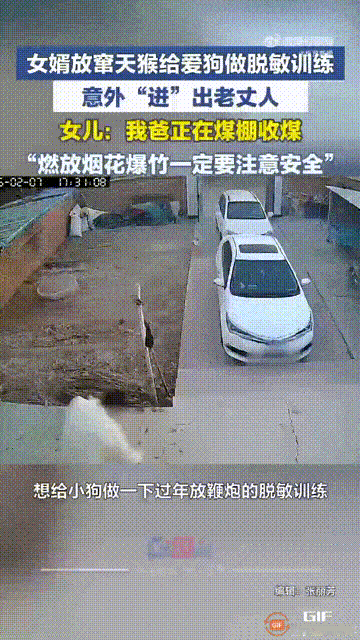 真解释不清了！辽宁朝阳，一名女子想给自己的小狗做过年放鞭炮的脱敏训练，但她自己不