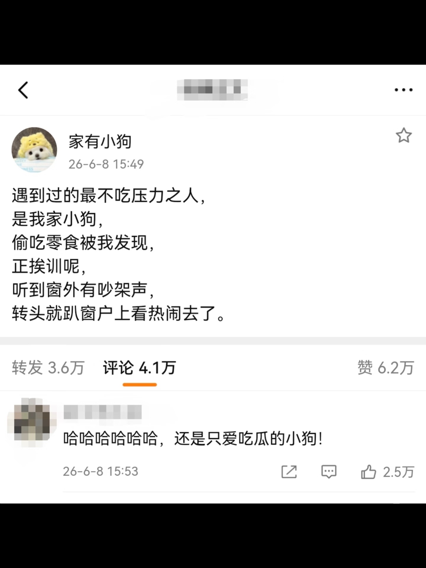 小狗在不吃压力赛道无人能及了 