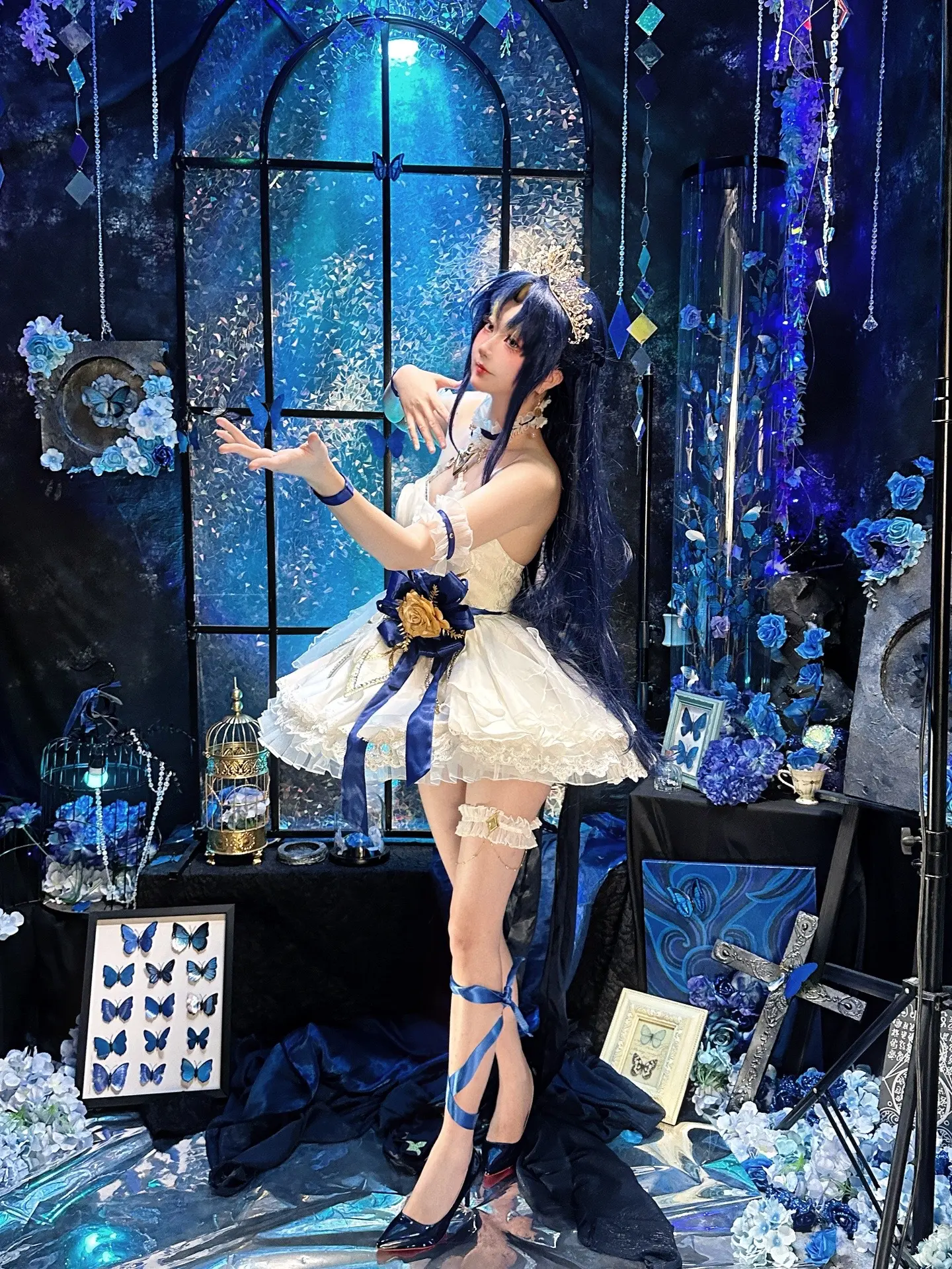 罗马 午夜的白天鹅。