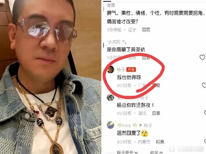 杨子离婚后无厘头回应引争议，结婚无彩礼，离婚拒付抚养费，还称高攀黄圣依，难怪黄母