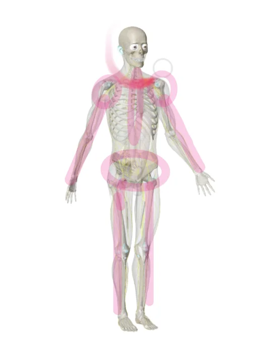 身体如果受到严重的创伤，其他的各个维度上也都会回缩，不仅仅只限制于最初...