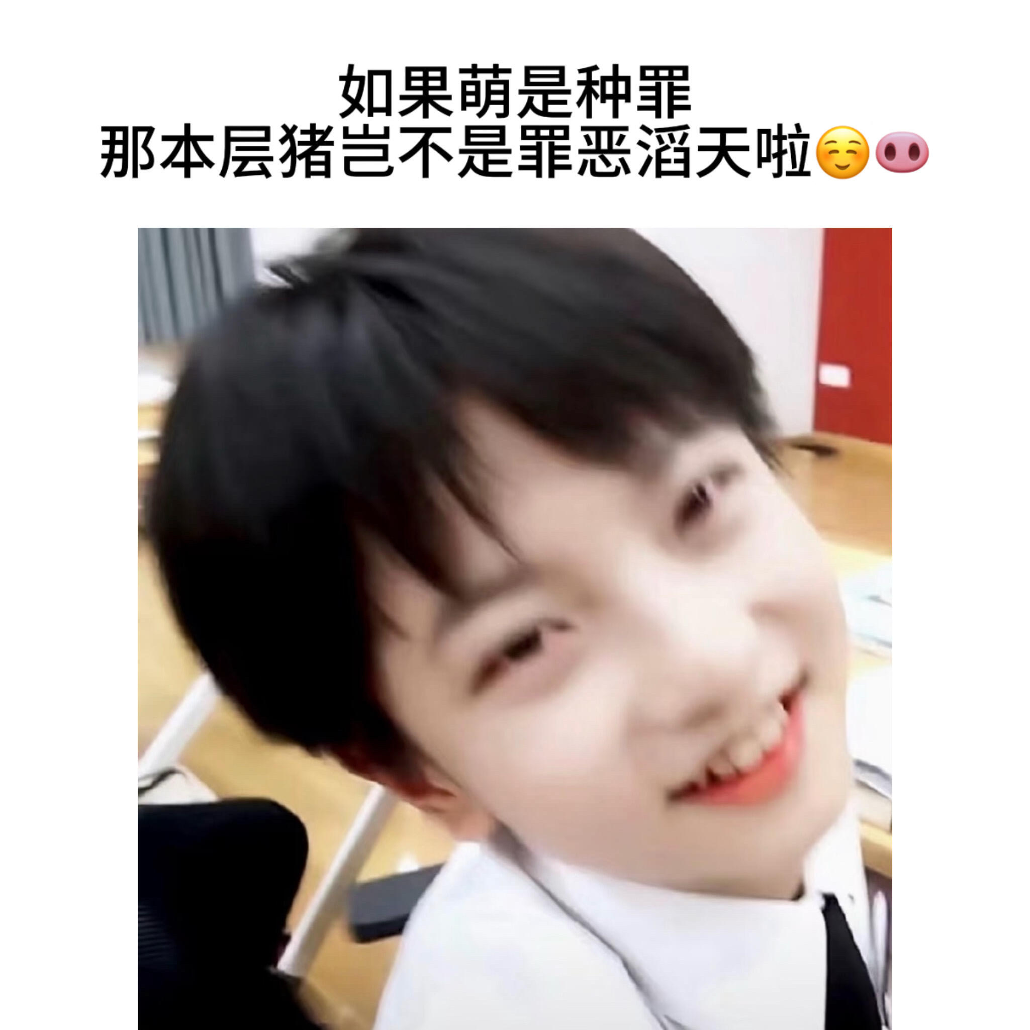 到底去哪个猪咖才能领到我的层层抚慰猪穆祉丞