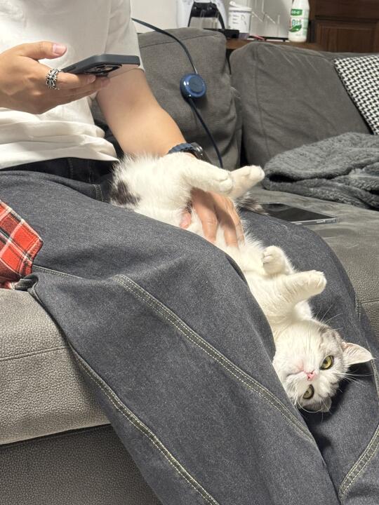 妈 你真的不管他对吗