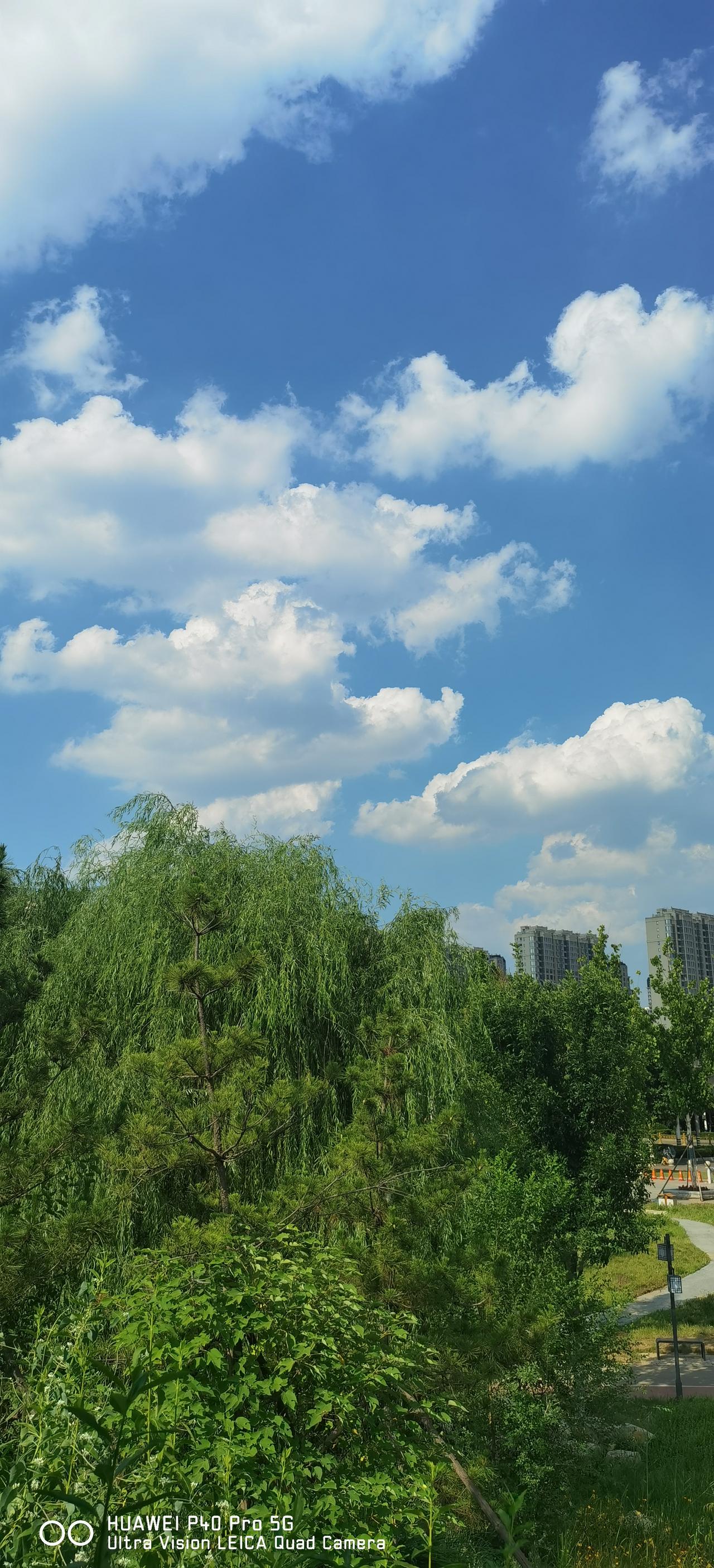据财联社消息，有媒体报道，字节跳动联合中兴努比亚打造的全球首款AI智能体手机计划