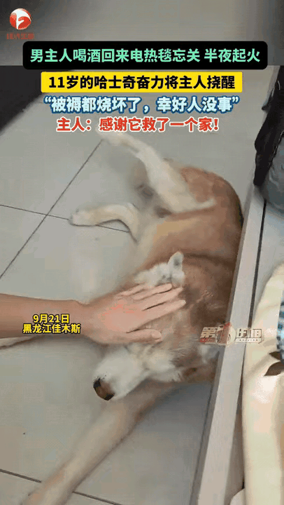 黑龙江佳木斯，9月21日发生了一件让人动容的事。一名男子饮酒回家熟睡之后，电热毯