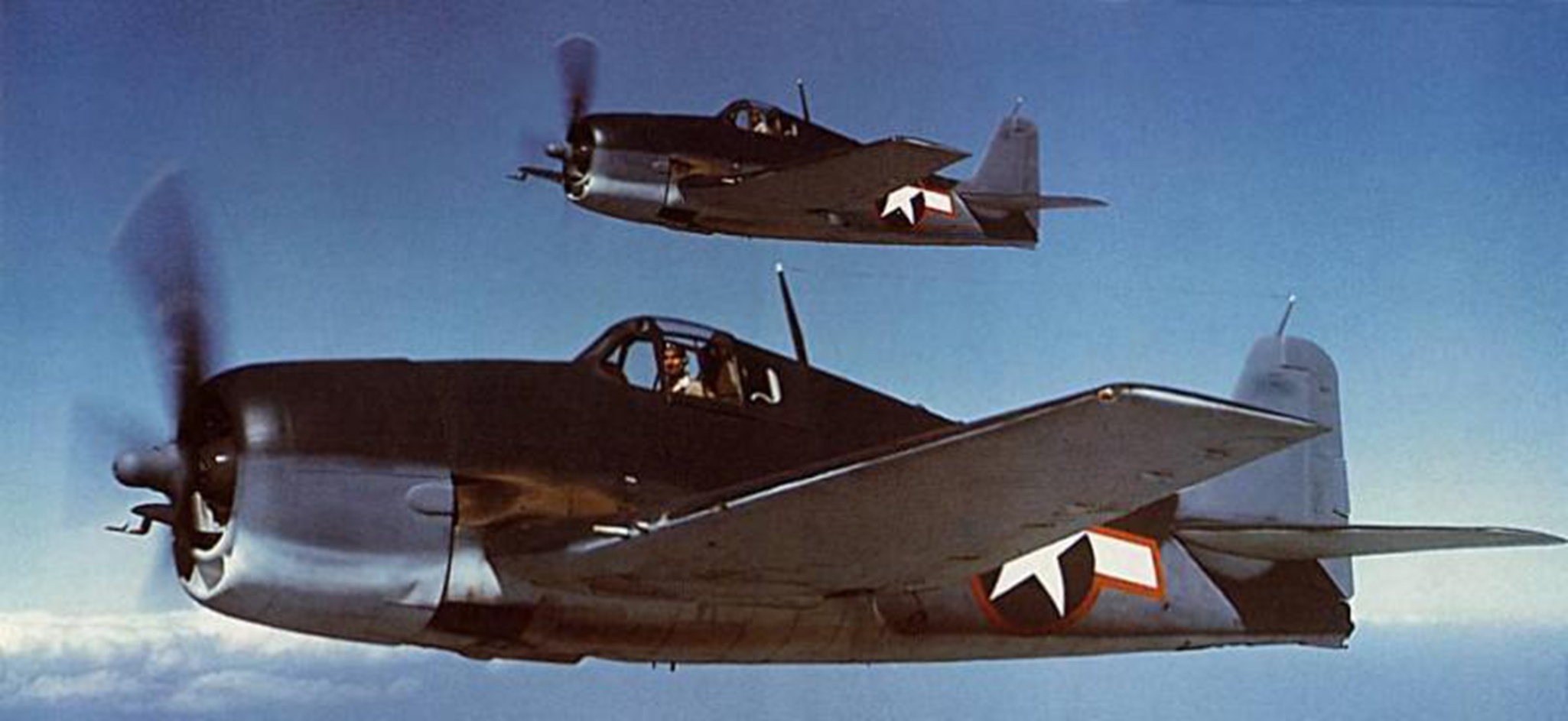 分享圖片：美國格魯曼F6F“地獄貓”（“惡婦”）艦載戰鬥機 