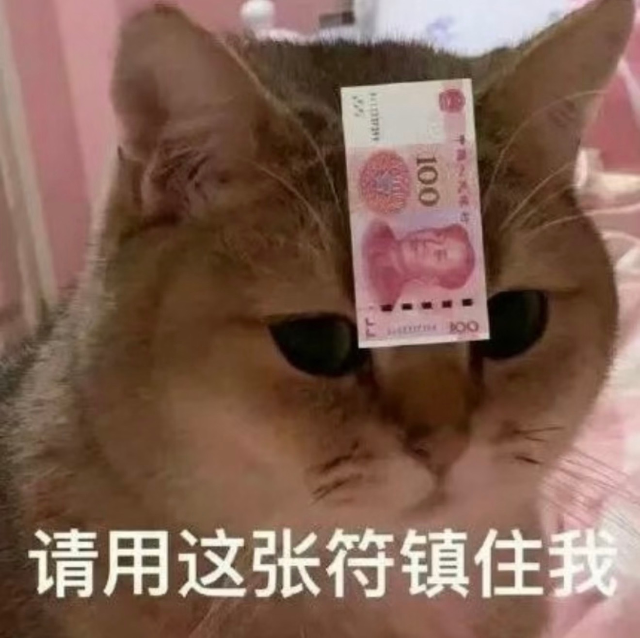苹果回应AppleMusic涨价抠搜的我，默默打开汽水音乐，看完3个广告，喜提全