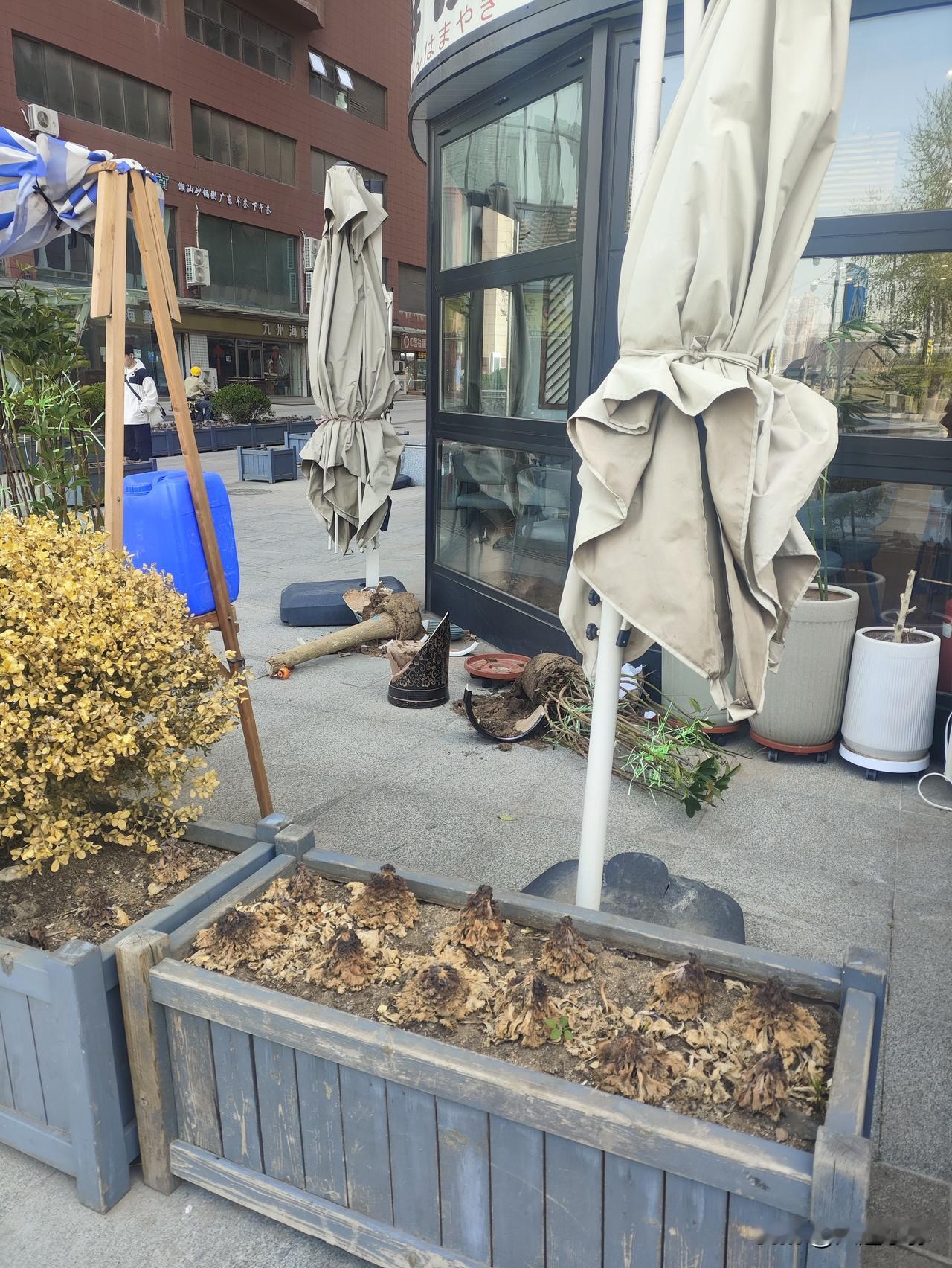 谷雨大连｜风大到掀翻花盆？！我靠10.8元饺子治愈了🥟

家人们谁懂啊！昨天大