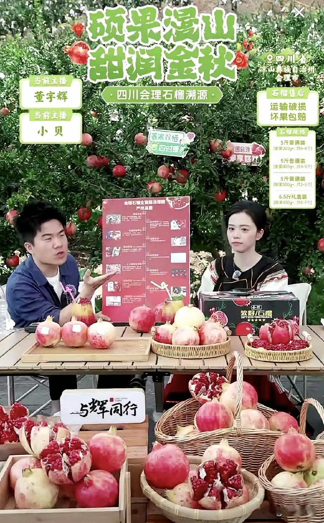 全网都在夸董宇辉石榴卖得好，
我却被他评论区里一句
“差点把树挖了”给整破防了。
