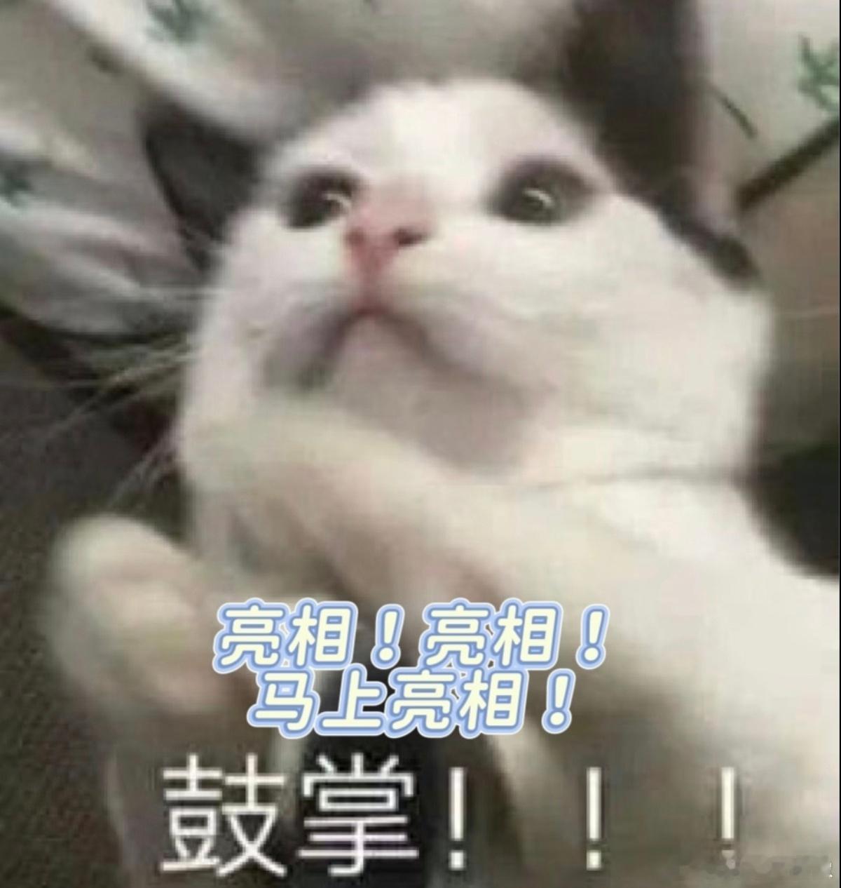 为何年轻人开始好饭不怕等 现在年轻人选车不着急，像某些新车还没开放预订，大家就愿