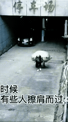 善意生善举
善心长善施
善心催善行
满眼放光明