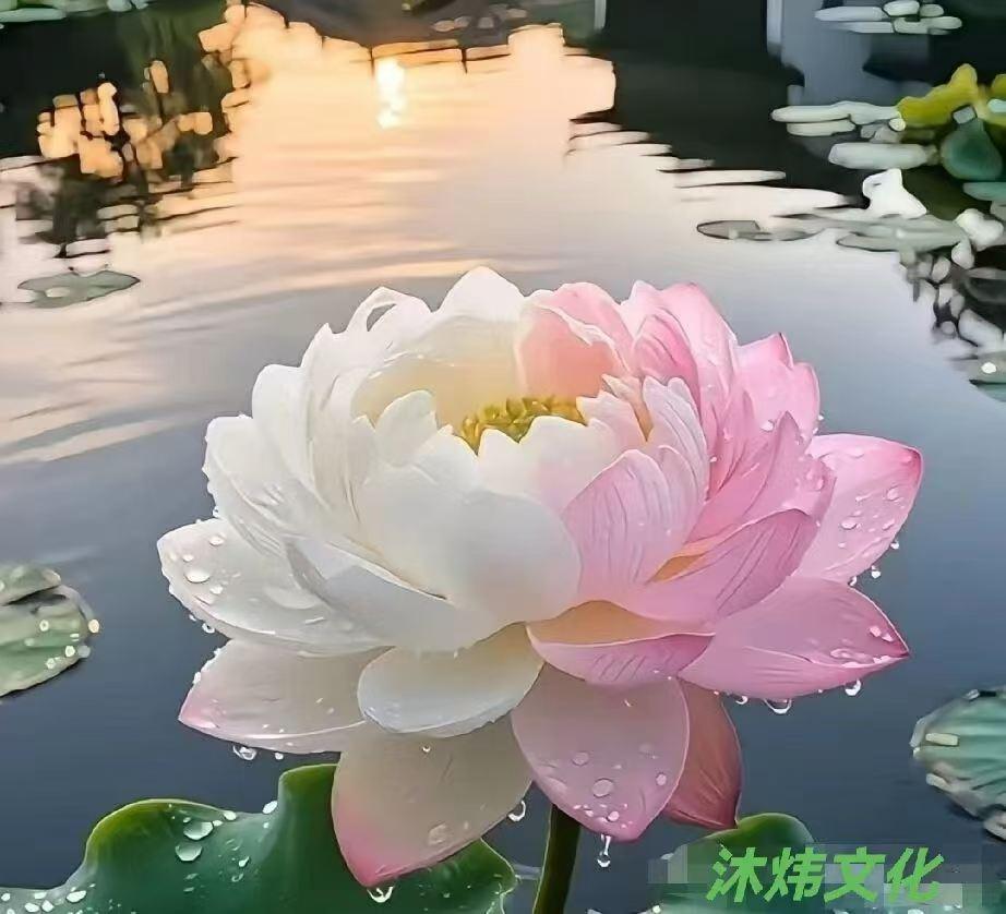 别人待我如何是我的因果，我待别人如何是我的修行！