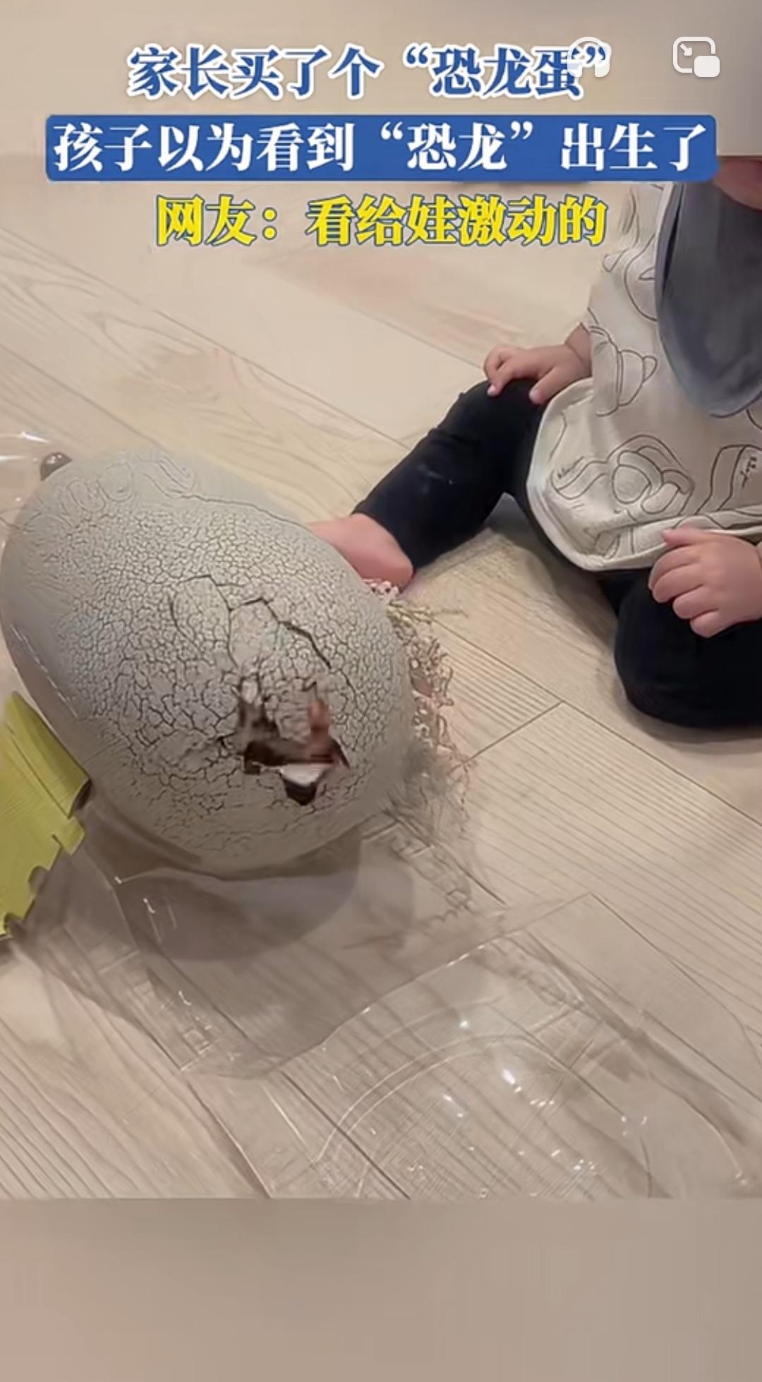 家有“恐龙孵化师”：蛋壳里的世纪期待
 
买了个“恐龙蛋”，娃成了全职孵化师，被