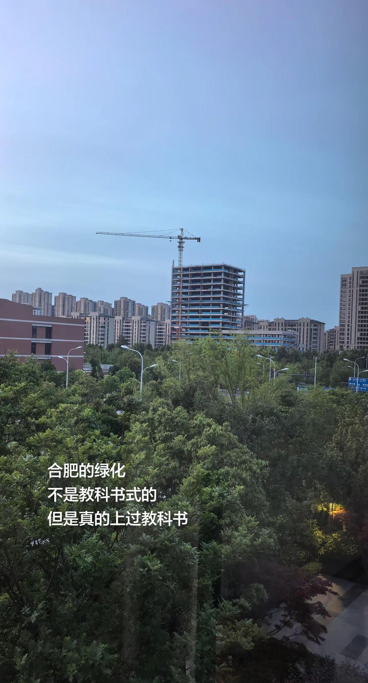 合肥的绿化，不是教科书式的，却真的上过教科书。 上世纪80年代，合肥依托老城墙、