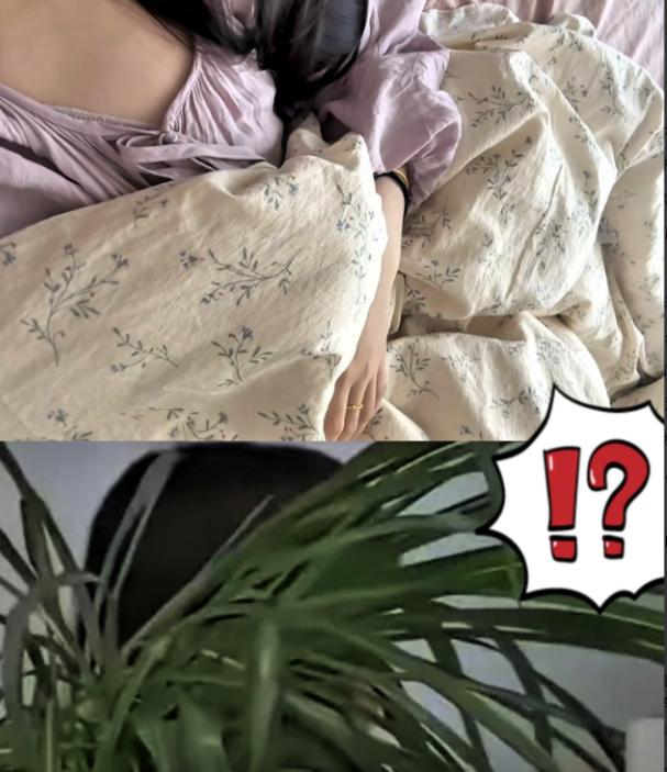 “没我老公壮实，我男人那可大多了！”那晚她大意了，卧室门没上锁，黑灯瞎火里一男子