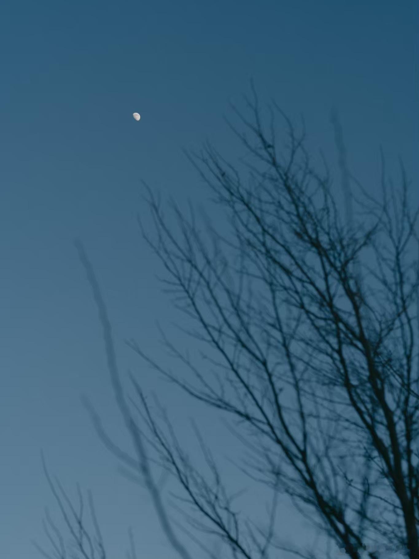 🌙..cr：miu.harada 