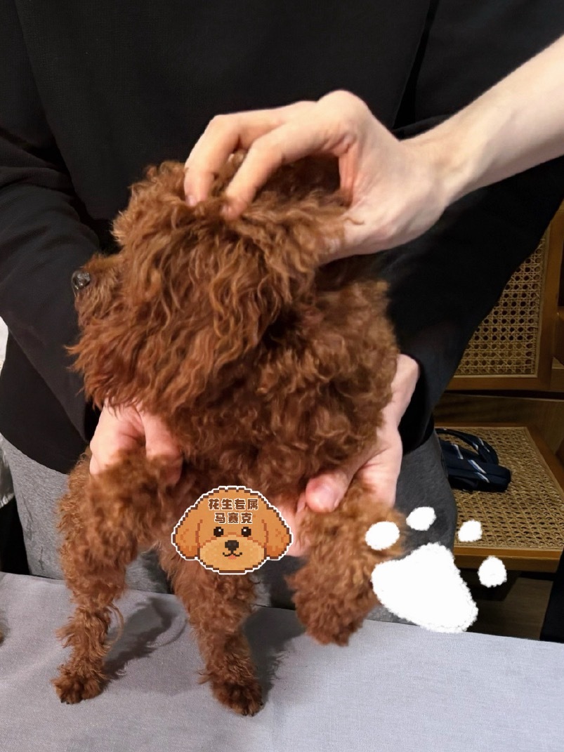 哎呀🥺 ​​​