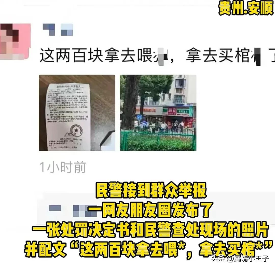 贵州安顺。
女子因为准驾不符，罚款200元。为发泄不满，女子在朋友圈发布辱骂交警