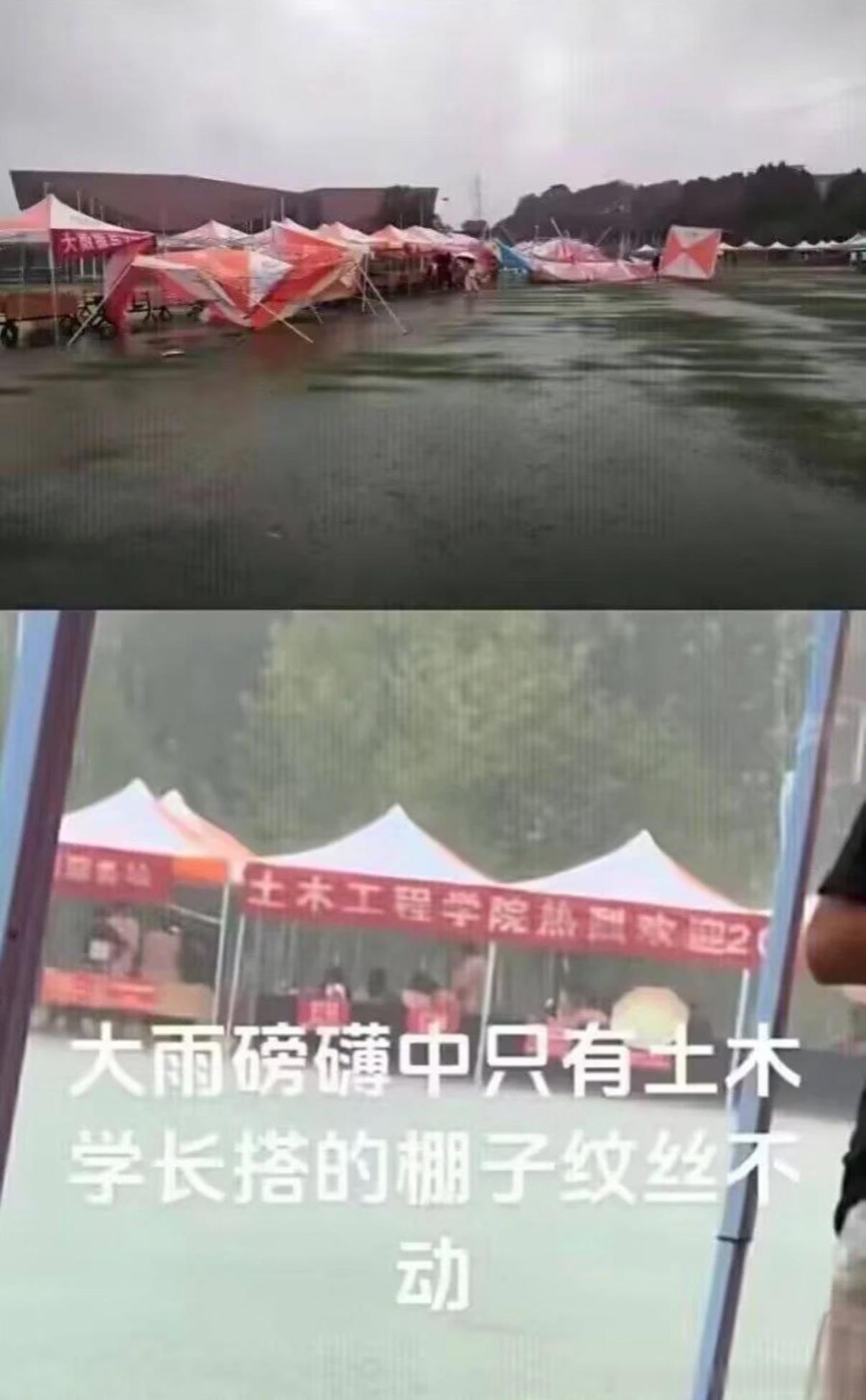 5593专业的重要性 