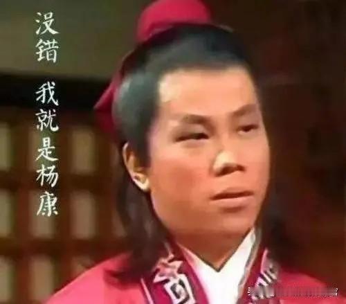 观众评价《金庸武侠世界》的杨康坏过，贱过，就是没丑过，但如果我拿出这个版本的杨康