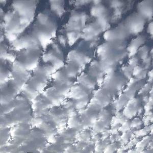 全幼儿园最聪明