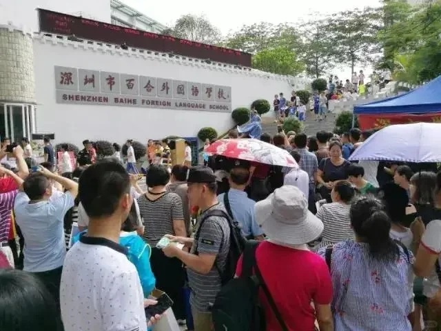 深圳市最强民办学校 百外世纪小学和春蕾小