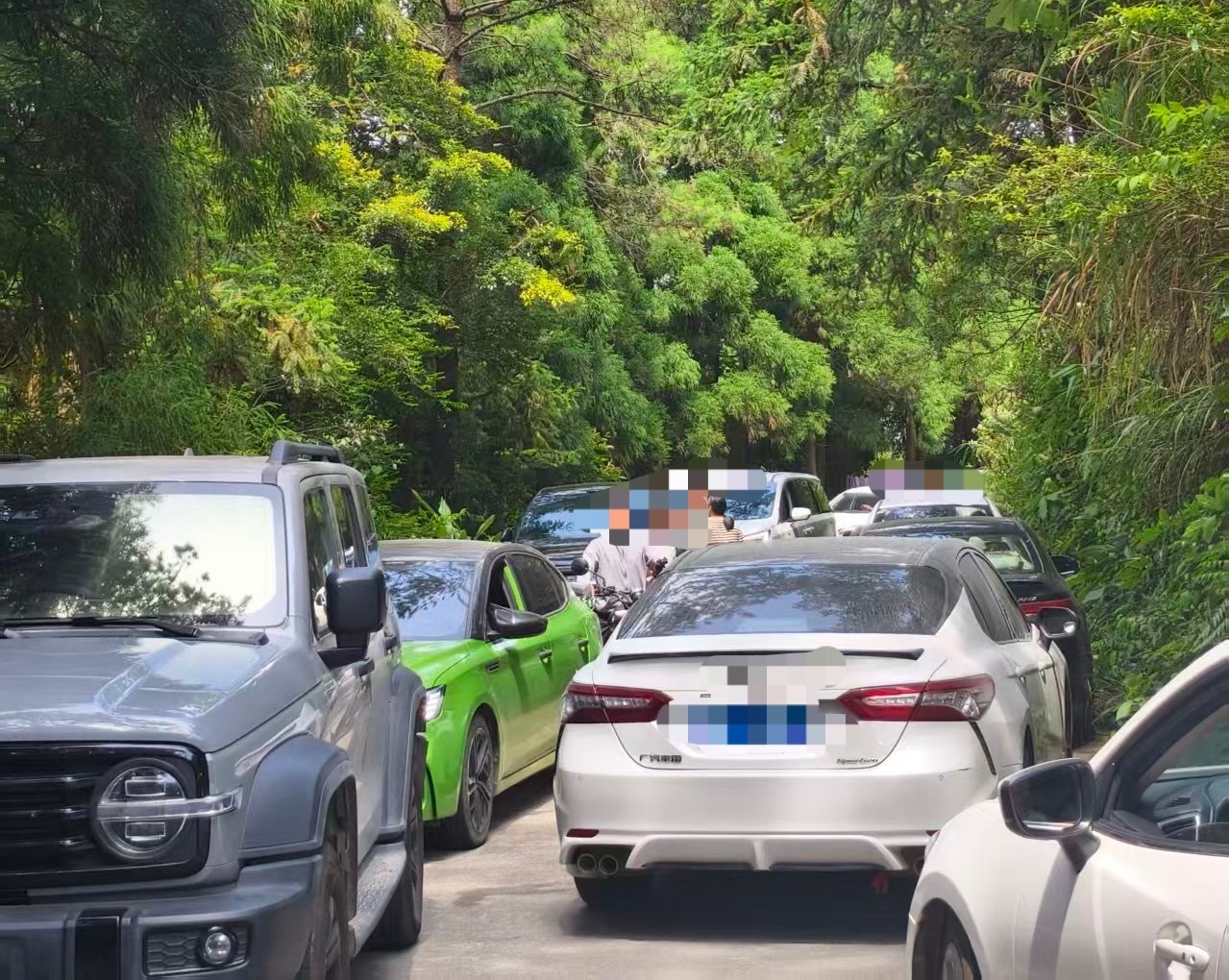 8月8日，网友反映：周末玉林某景区道路又堵车了，有没有乱停车？ 