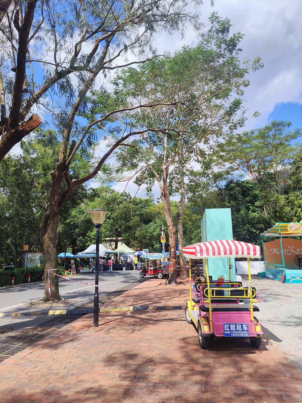 冬日生活打卡季