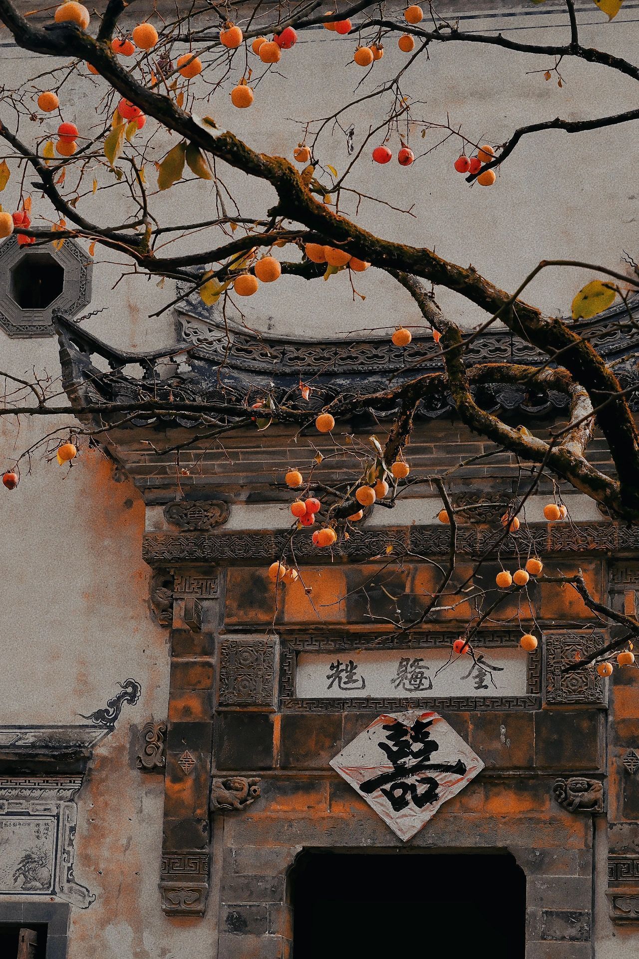婺源的秋 ​​​