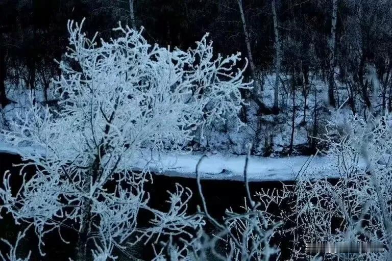 《鹧鸪天•雪境逸怀》
（原创首发）陋室听秋/文
 
远岫含烟暮色茫，霜风携冷覆银