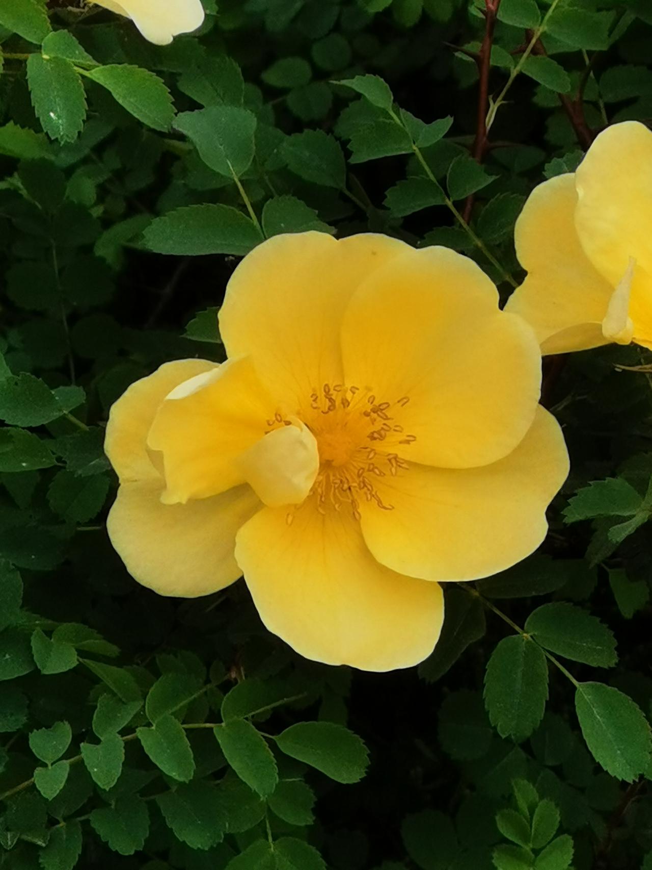 春天要借助大自然的馈赠进行养生。退休生活中老年养生窍门  50后养生 入春养生 