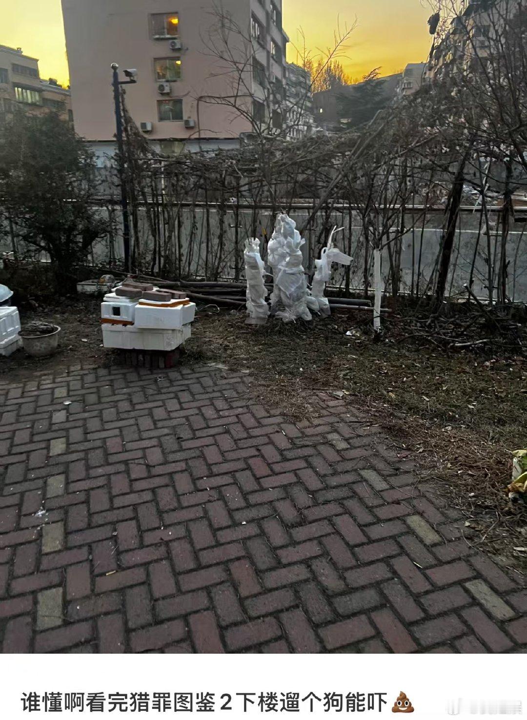 完了，《猎罪图鉴 2》完结，我却走不出来了。剧中画面与艺术经典的巧妙呼应，尽显高