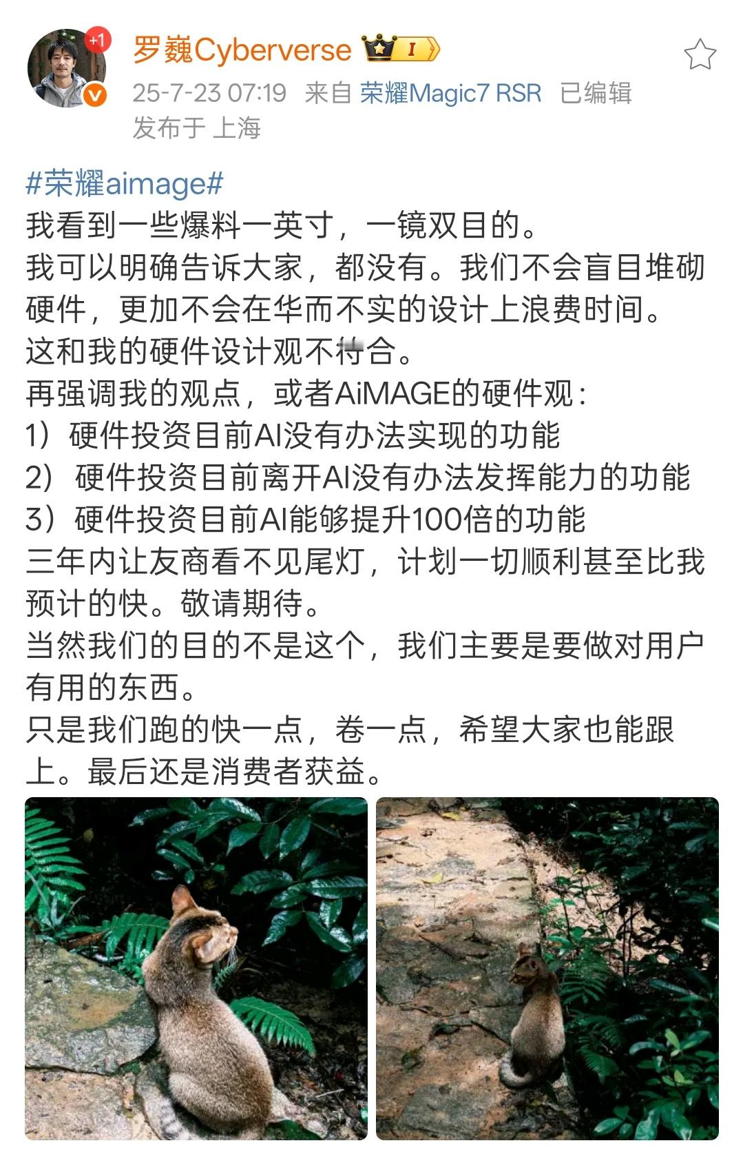 荣耀:（影像能力）三年内让友商看不见尾灯！网友1:前面的车自然看不到后面的。网友