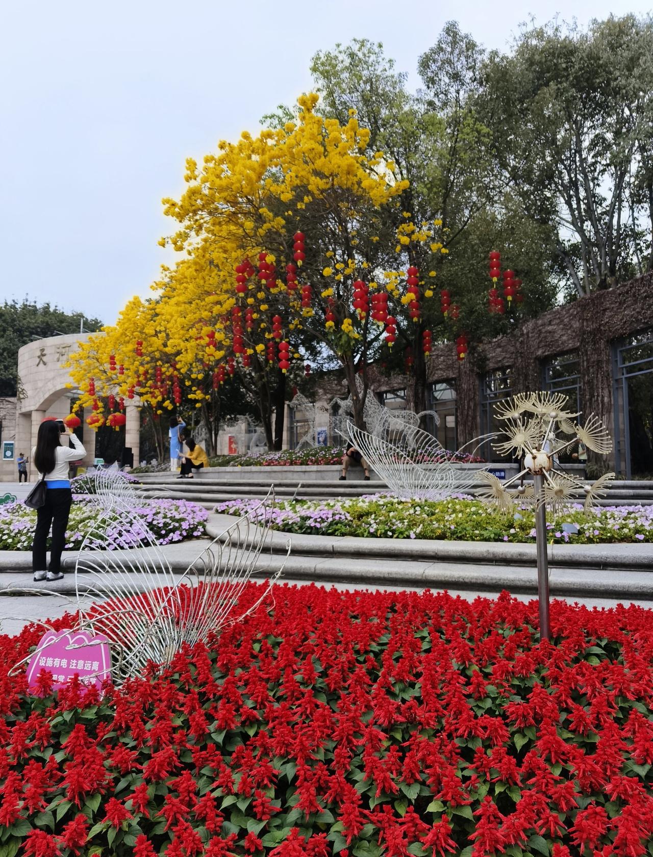 果然是花城，随手一拍都美翻了
📍广州 天河公园(天园街道)
来至北方兄弟的实名