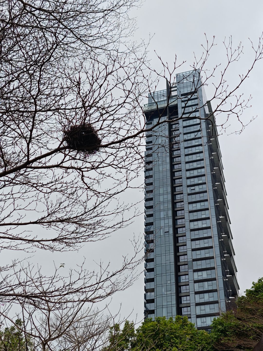 美军承认使用新装备如图同样是家有等级之分吗？ 