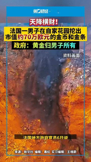 天降横财！
法国罗讷省一位男子今年5月在自家花园挖泳池时，意外挖出大量金币和金条