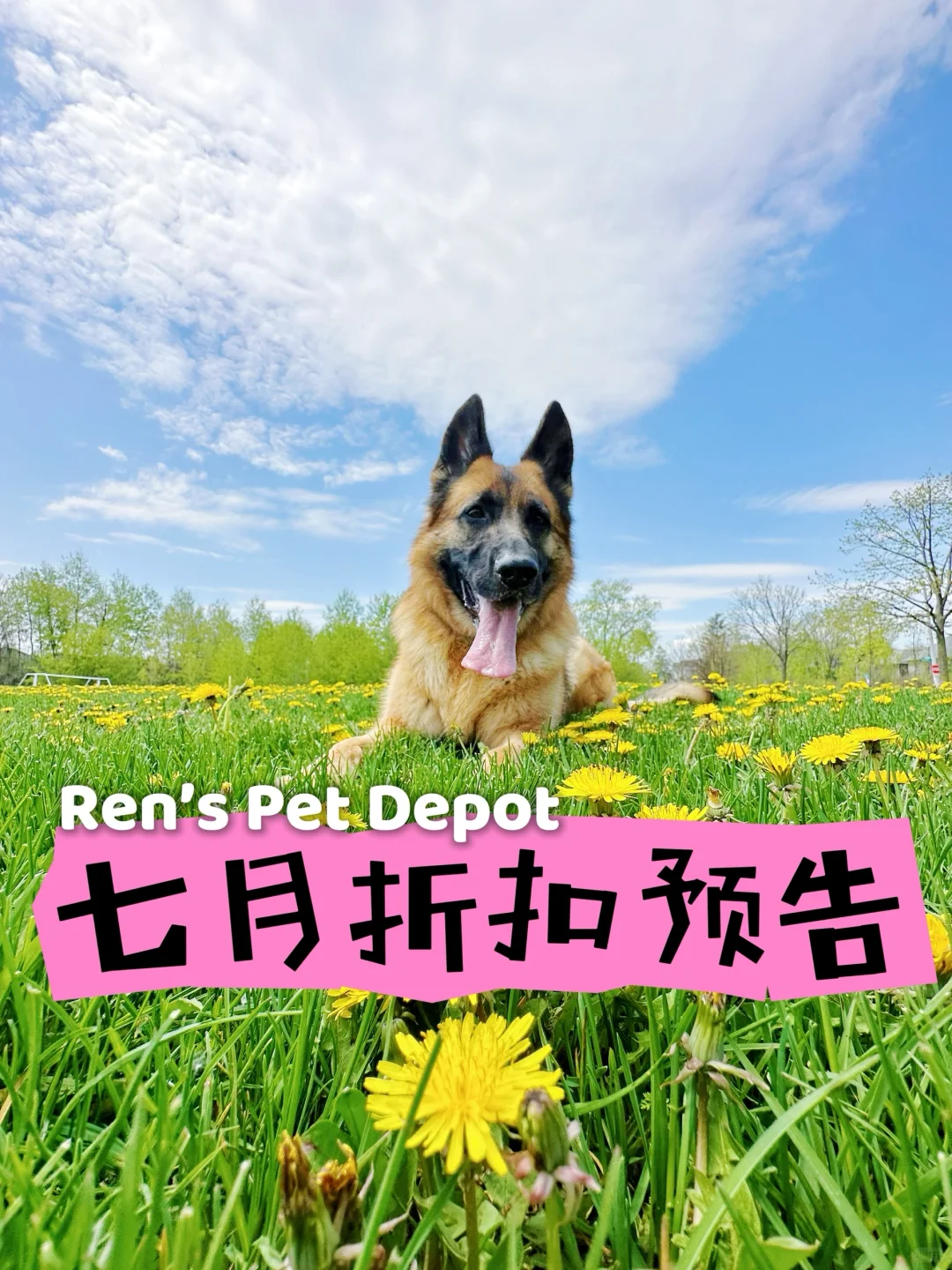 Ren's Pet Depot七月折扣预告
