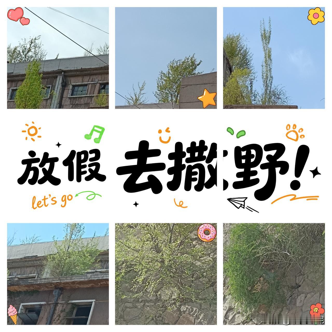 我认为合家出游周边逛逛挺好的。
节日假期愉快的在景色宜人的地方走走看看，行程不太