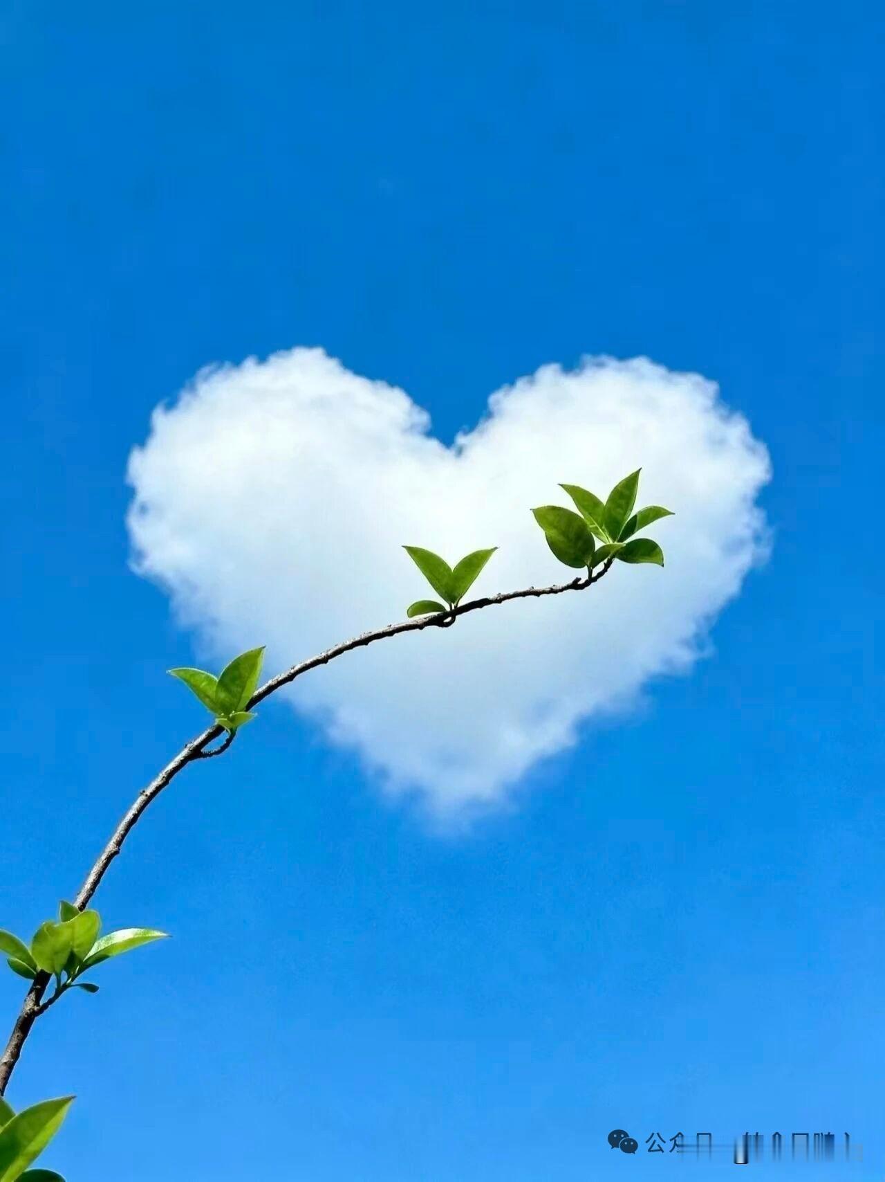 看到“雨润良田五谷丰”，我来接个下联“政通民心四海安”。
“雨润良田”描绘了雨水