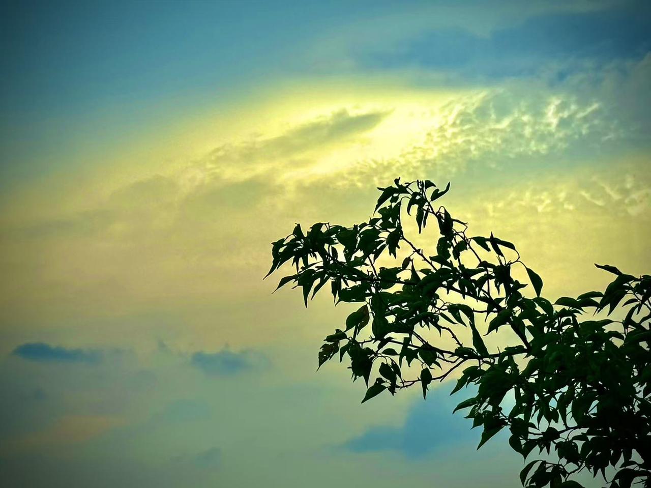 我的今日状态：😁轻松愉快
我这里的天气：☀️晴天
      风雨初歇
   