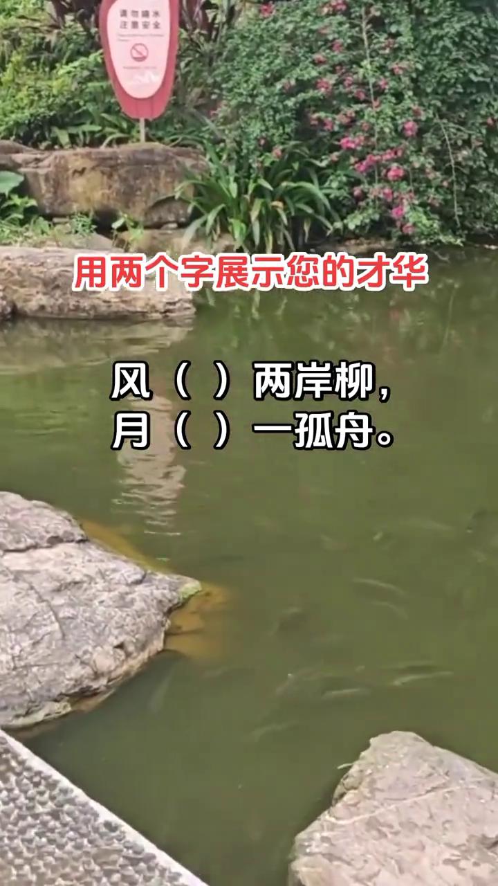 用两个字展示您的才华。
风()两岸柳，月()一孤舟。