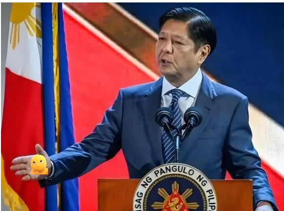 就在刚刚

2025年11月的菲律宾政坛彻底陷入沸腾，参议院临时议长潘菲洛·拉克