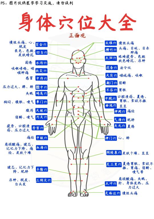 📒医学生笔记｜人体全身穴位图解✅建议收藏