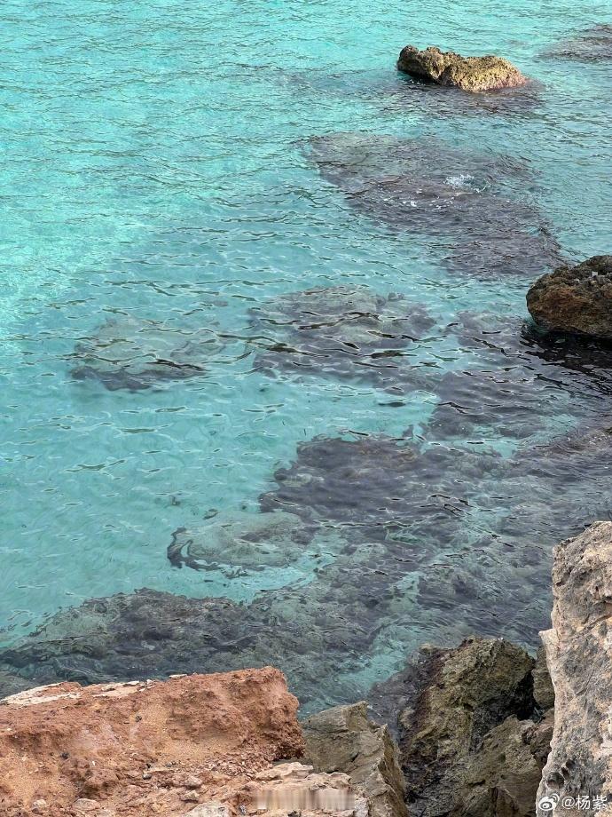 杨紫西班牙海岛回忆  杨紫西班牙回忆每一帧都值得被记录  天呐，从杨紫西班牙海岛