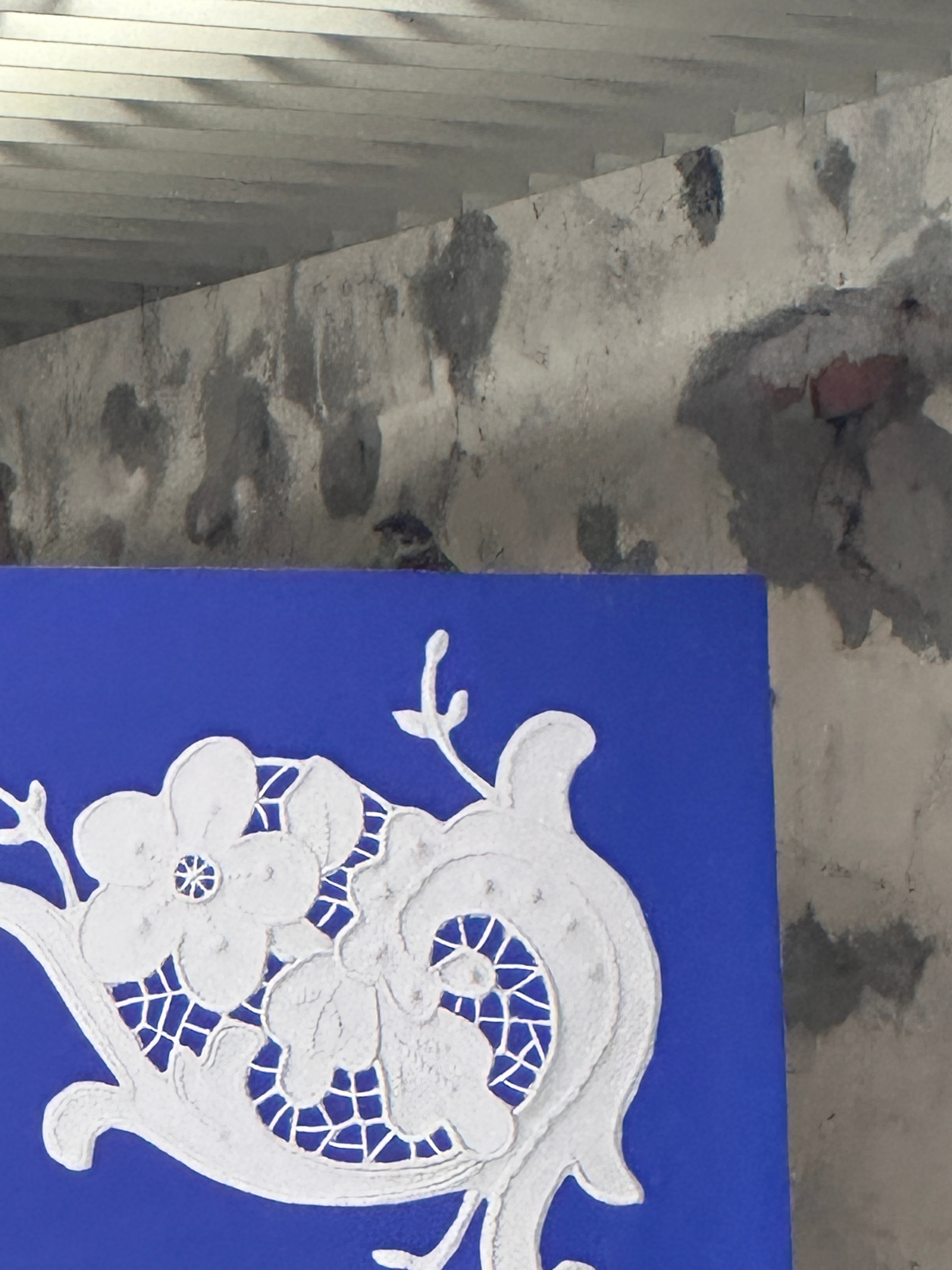 福福把这当家了一天没出去了 