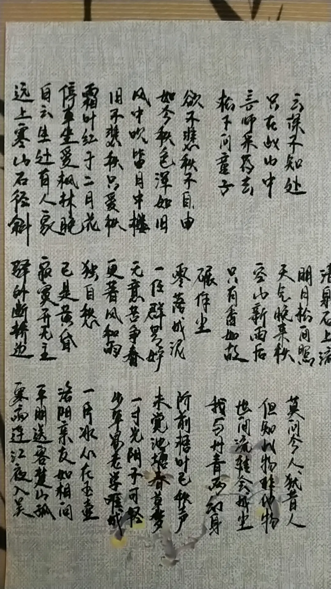 如果秋风能带走思念，就让落叶埋葬我的遗憾。