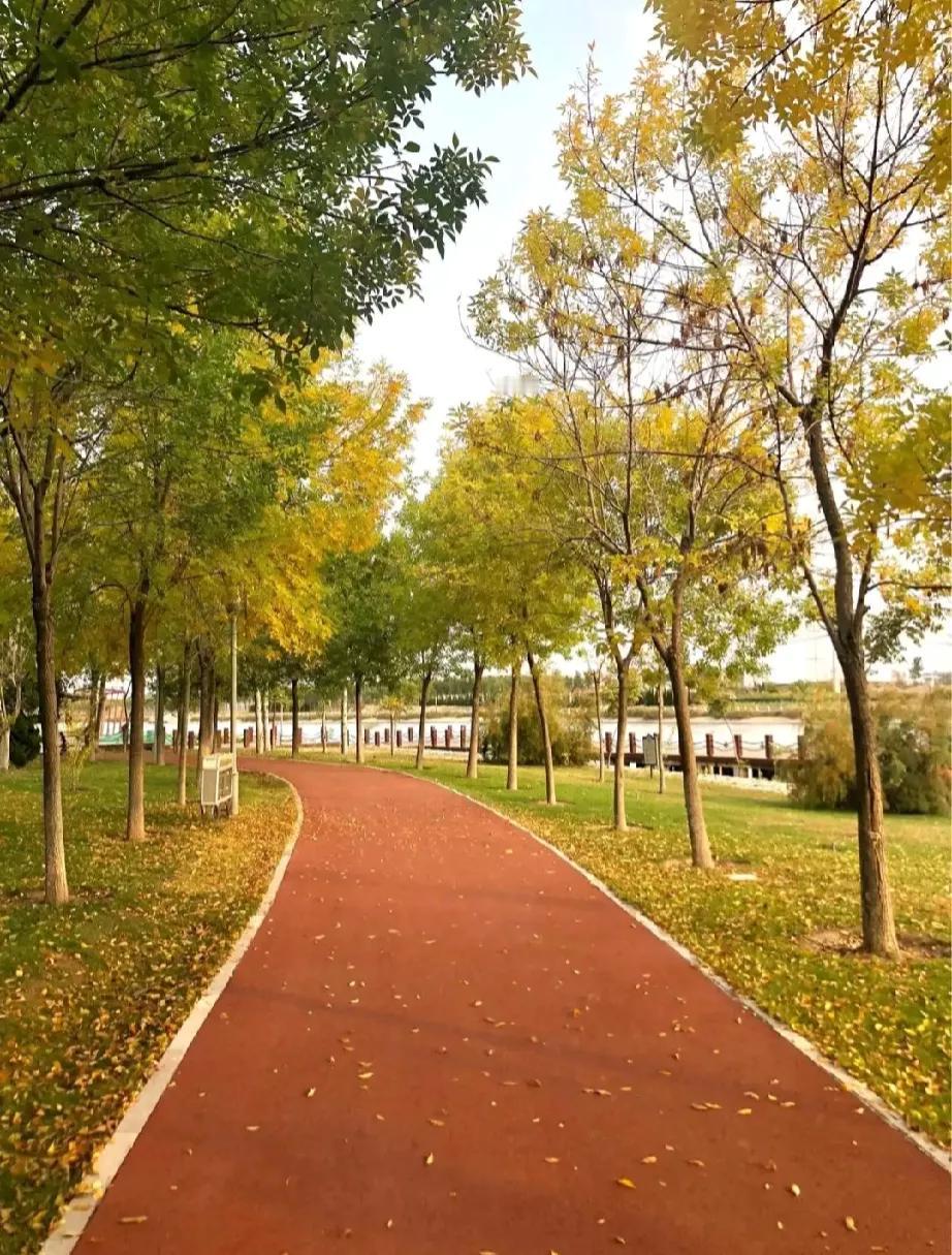 五十之后，心态变了。


以前喜欢约三五好友时常相聚，现在更愿意独处，觉得心安也